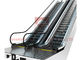 Taille mécanique de l'escalator 6000mm de centre commercial de début automatique